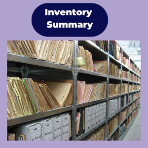 inventory summary
